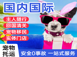 长乐机场物流国际宠物托运 【国